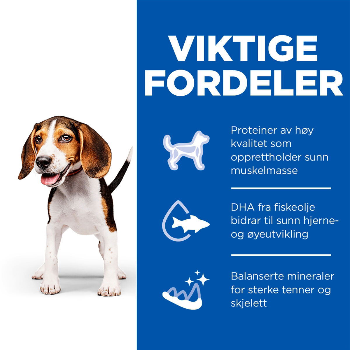 Hill's SP Canine Puppy Beef