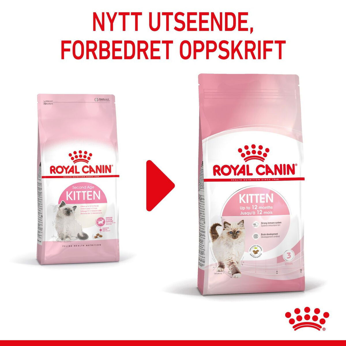 Royal Canin Kitten tørrfôr til kattunge
