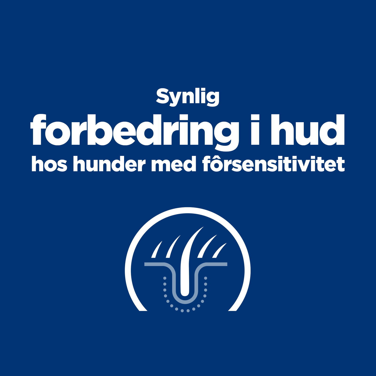 Hill's Prescription Diet Canine Derm Complete