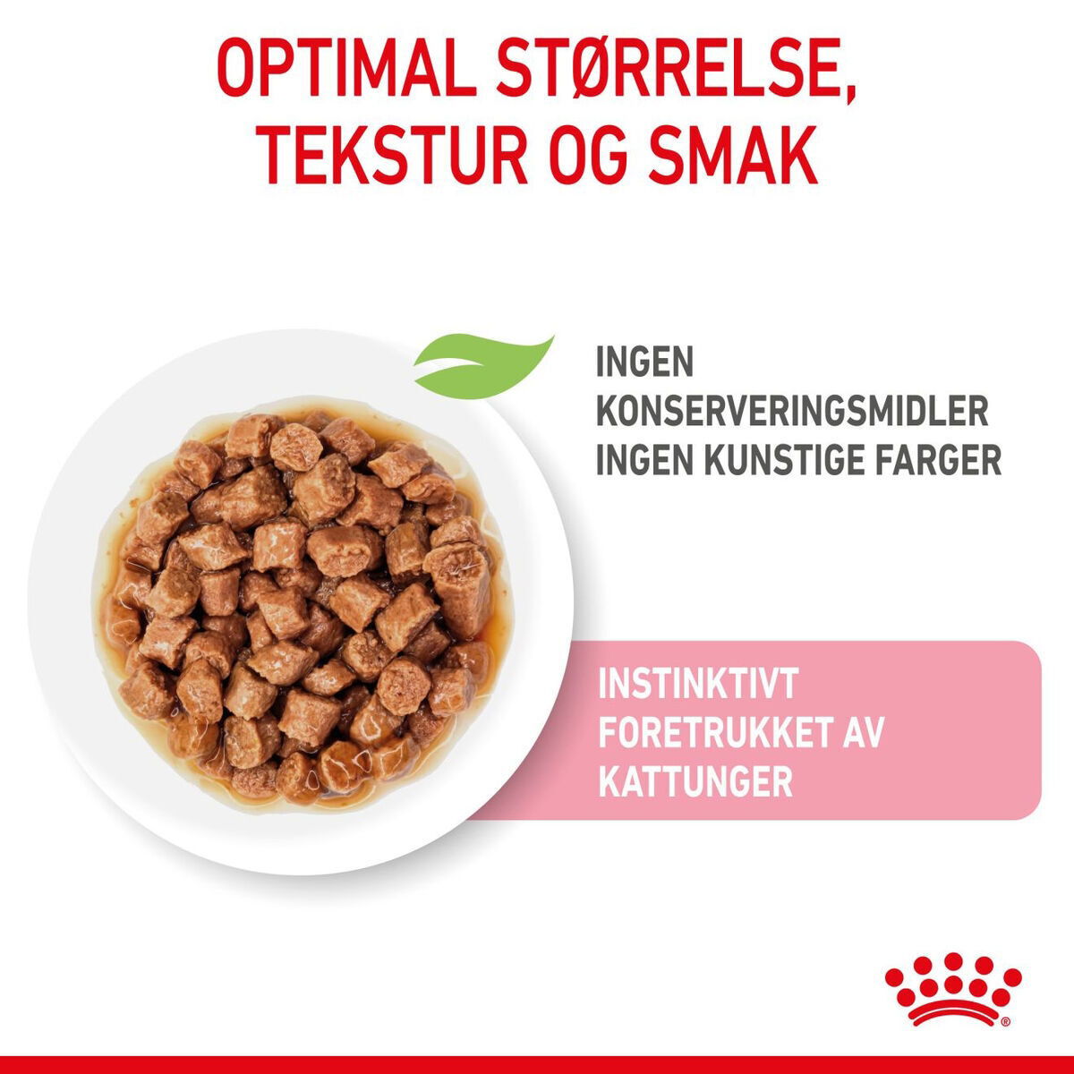 RC FHN Kitten Sterilised Gravy 12x85g