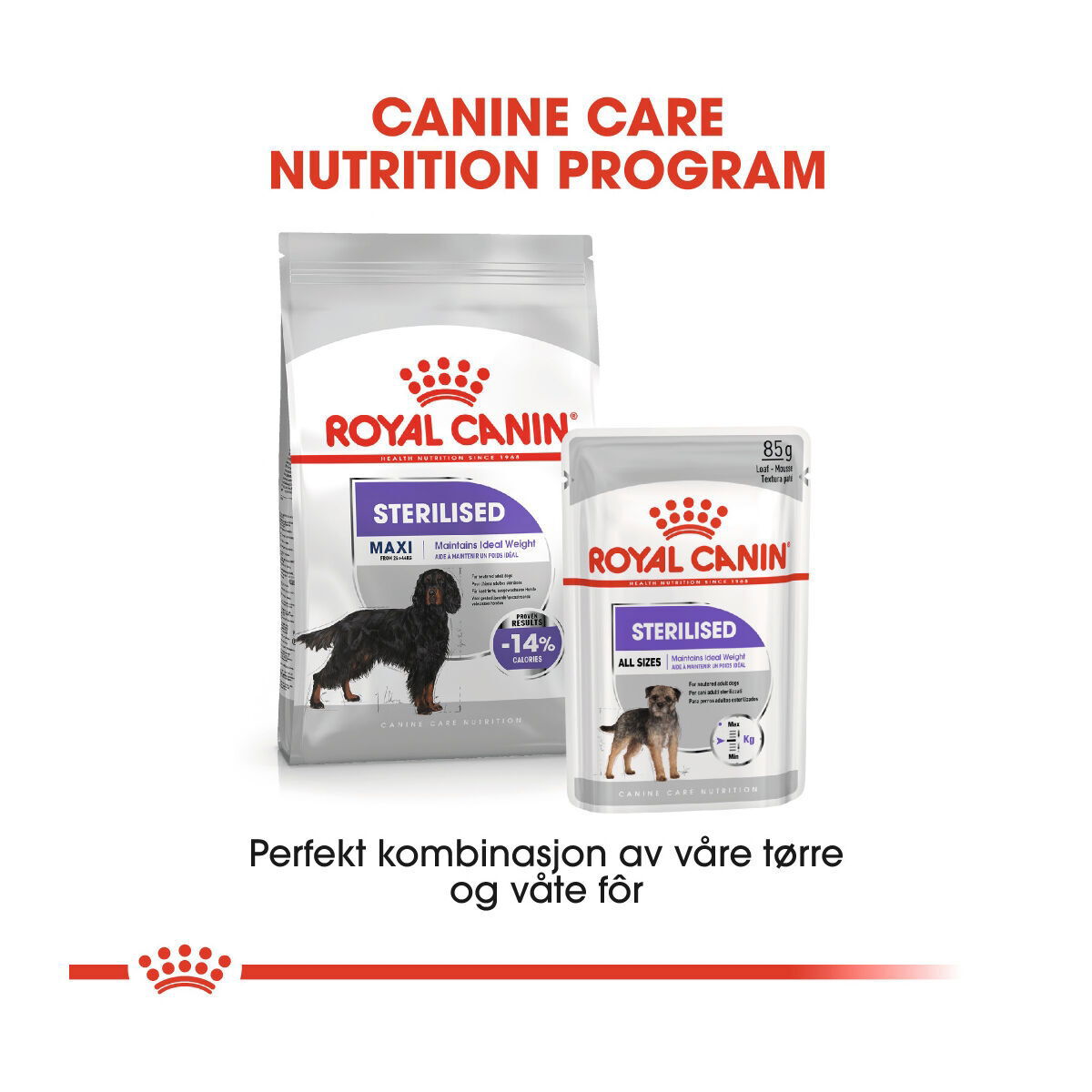 Royal Canin Sterilised Maxi Adult tørrfôr til hund
