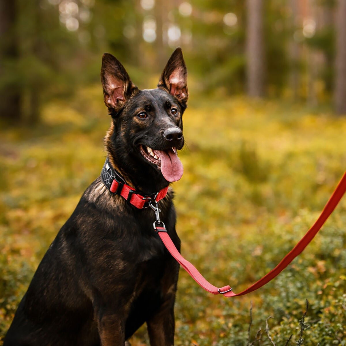 Rukka Bliss Multi Leash