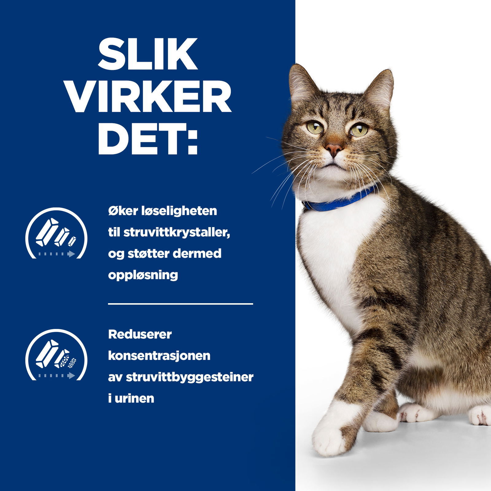 Hills Diet Cat s/d 1,5kg