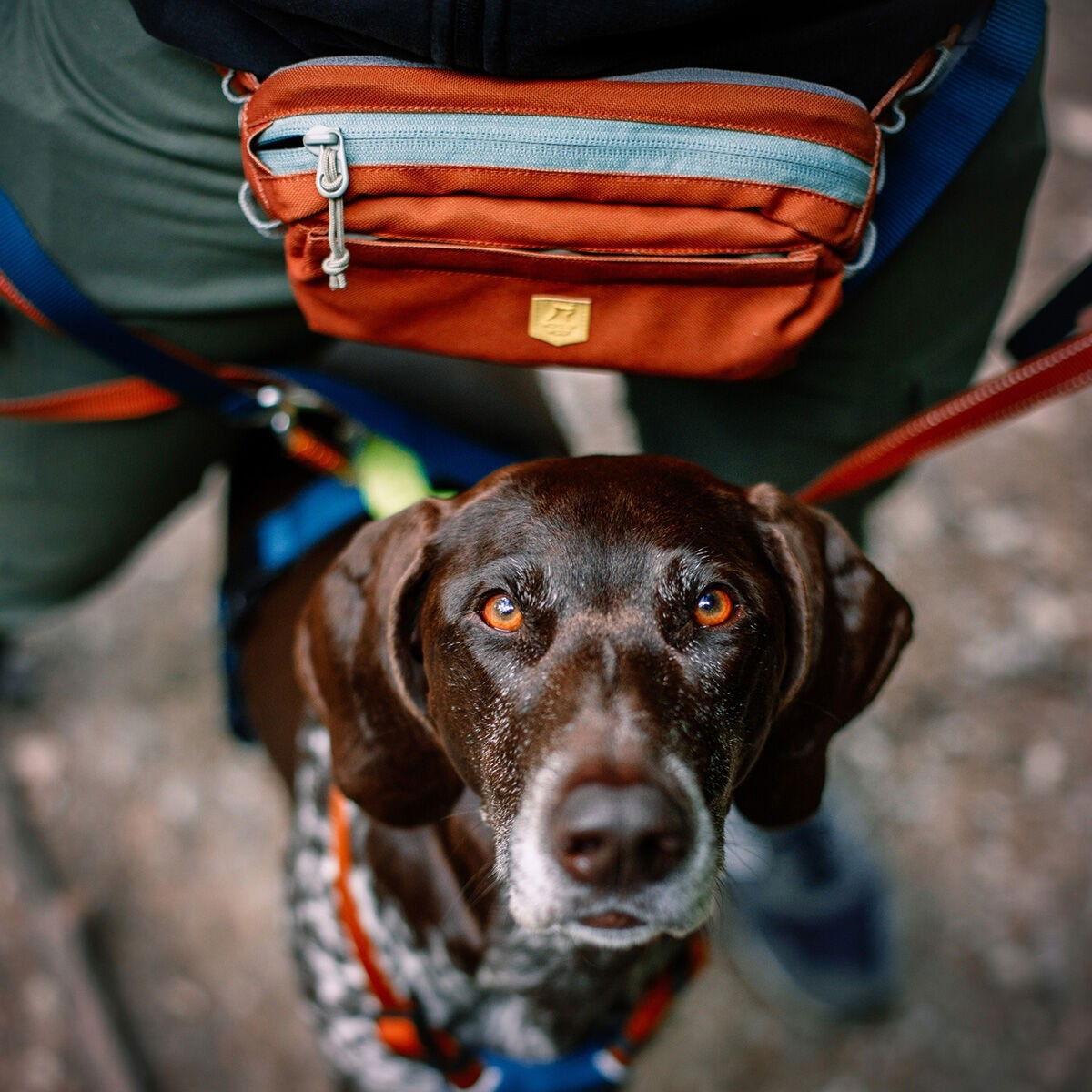 Woolly Wolf Alpha 360 Hip Pack Terracotta Mix