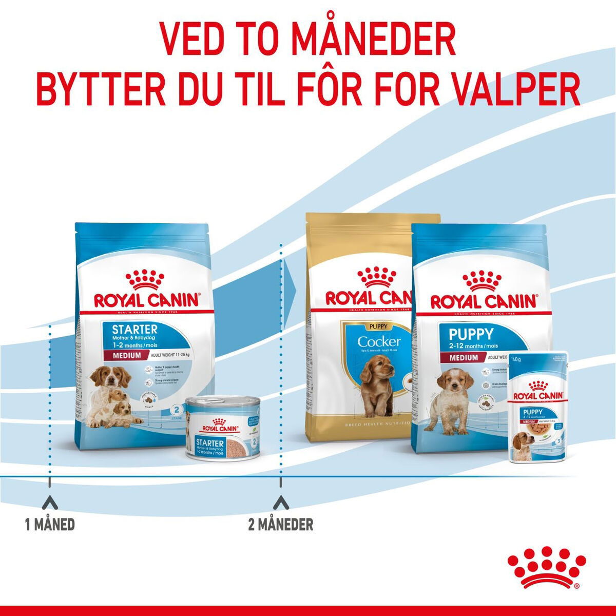 Royal Canin Medium Starter tørrfôr til hund og valp