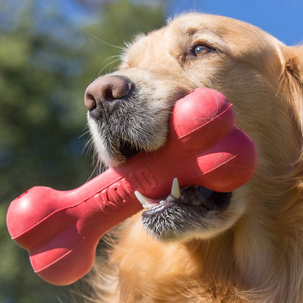 KONG Goodie Bone M red