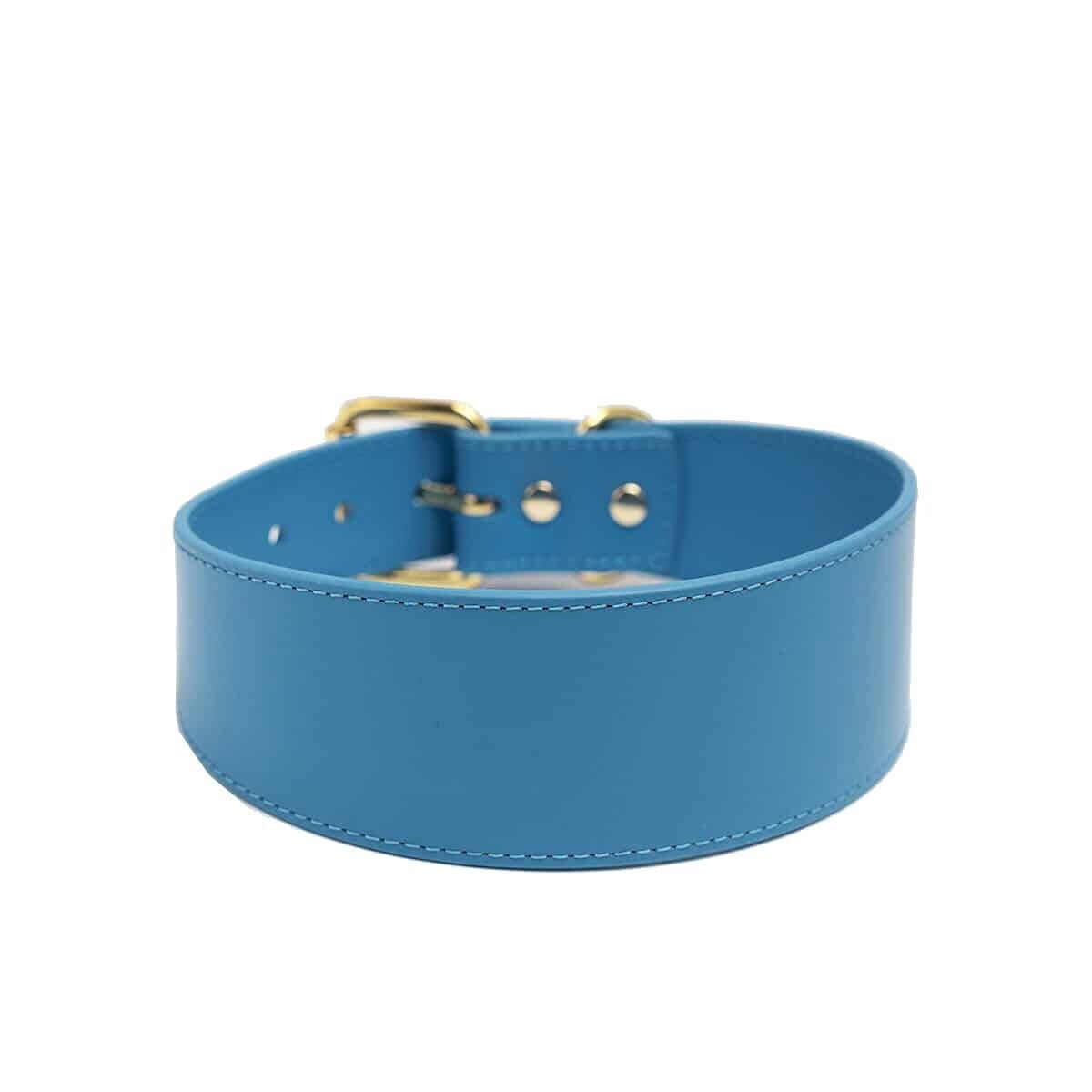 Collar of Sweden collar wide neon blue