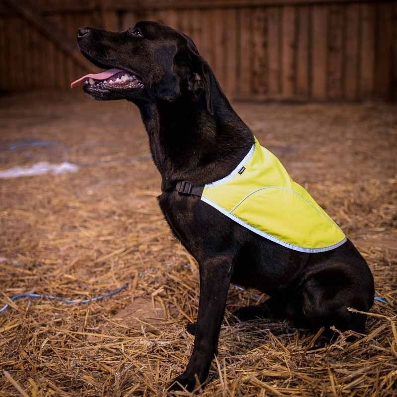 Dogman Refleksvest Rex Gul