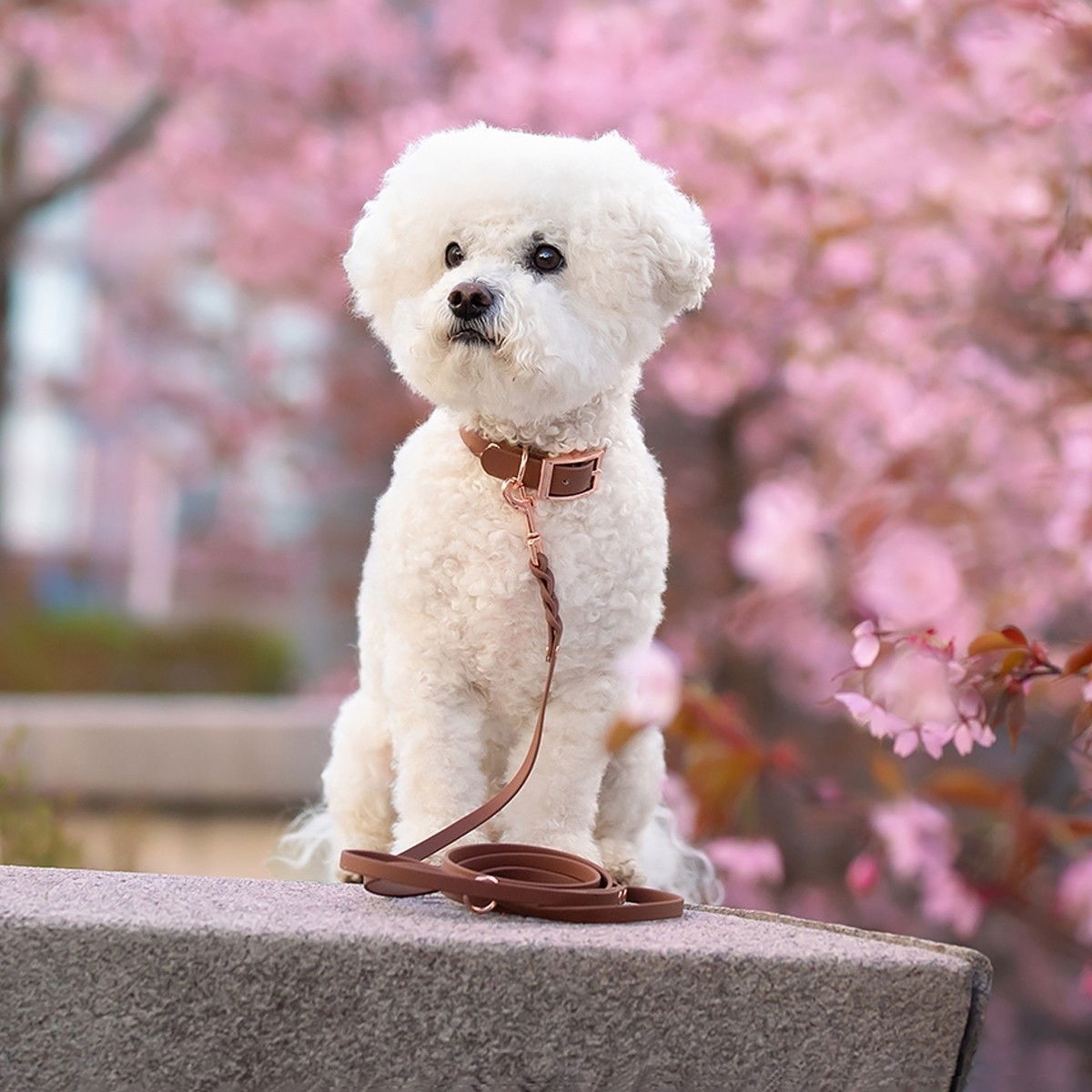 Tyylivoitto Braid leash, brown