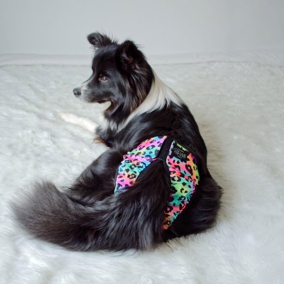 RuttuNuttu heat pants wraparound, rainbow leopard