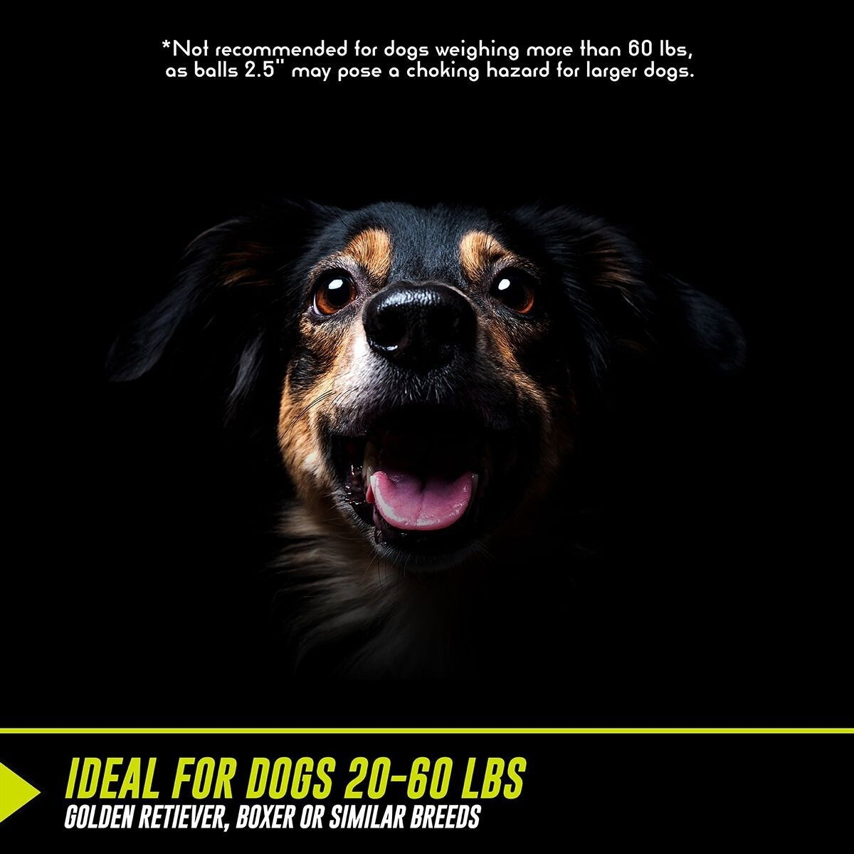 HP K9 KANNON (GEN II)