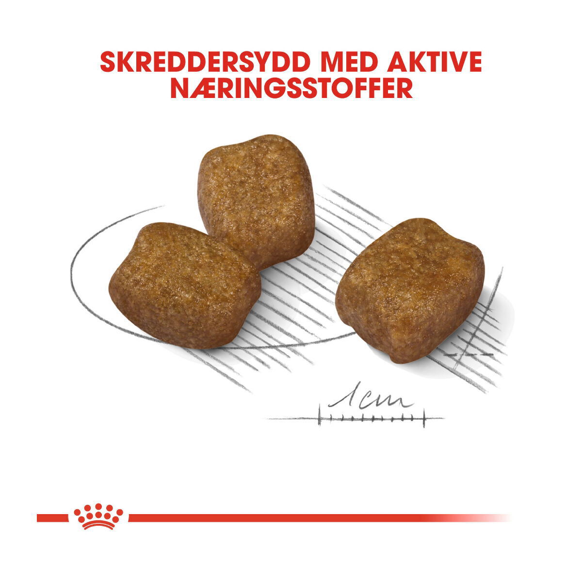 Royal Canin Dental Care Mini Adult tørrfôr til hund