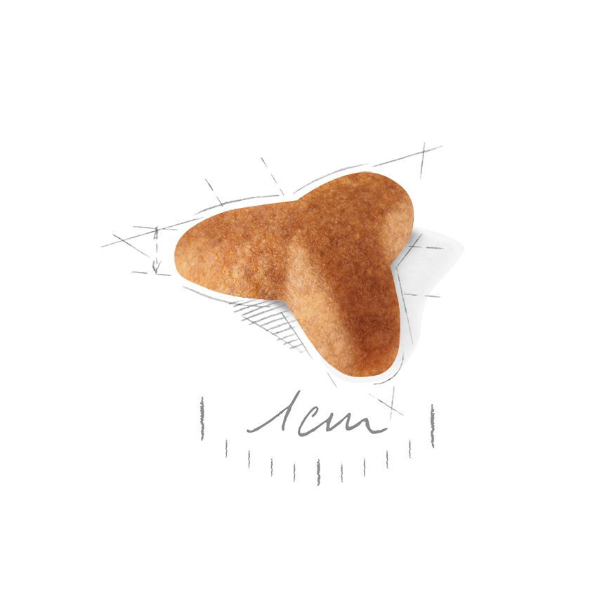 Royal Canin Breed Mops Junior