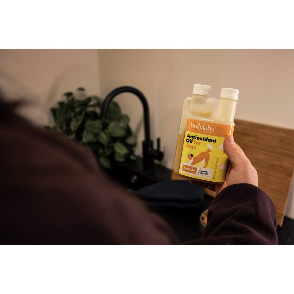 Bellylabs Antioxidant Oil 250 ml