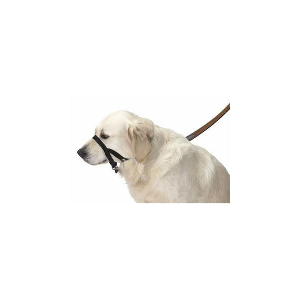 Headcollar Halti Size 5