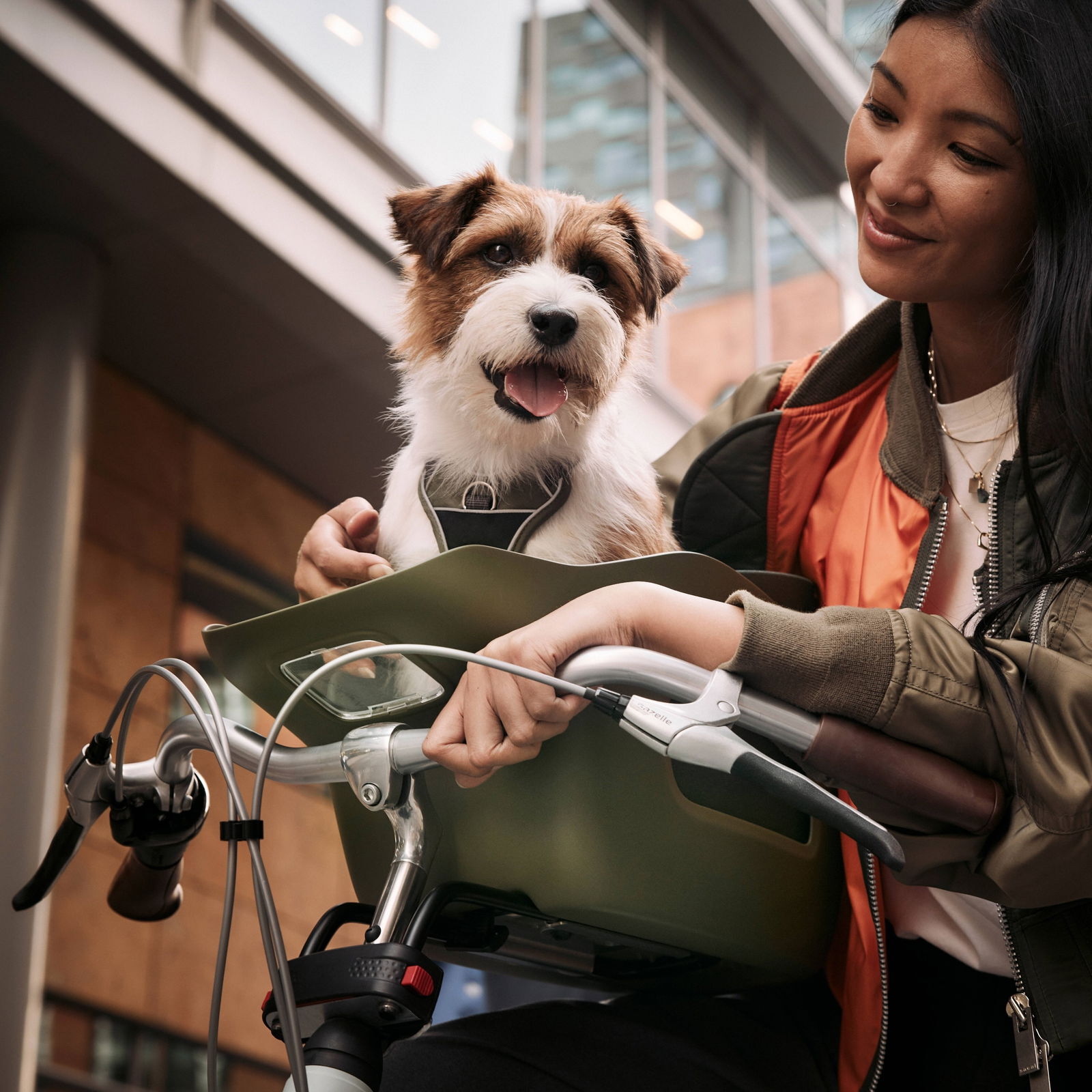 Kvisp bicycle basket with travel harness midnight grey