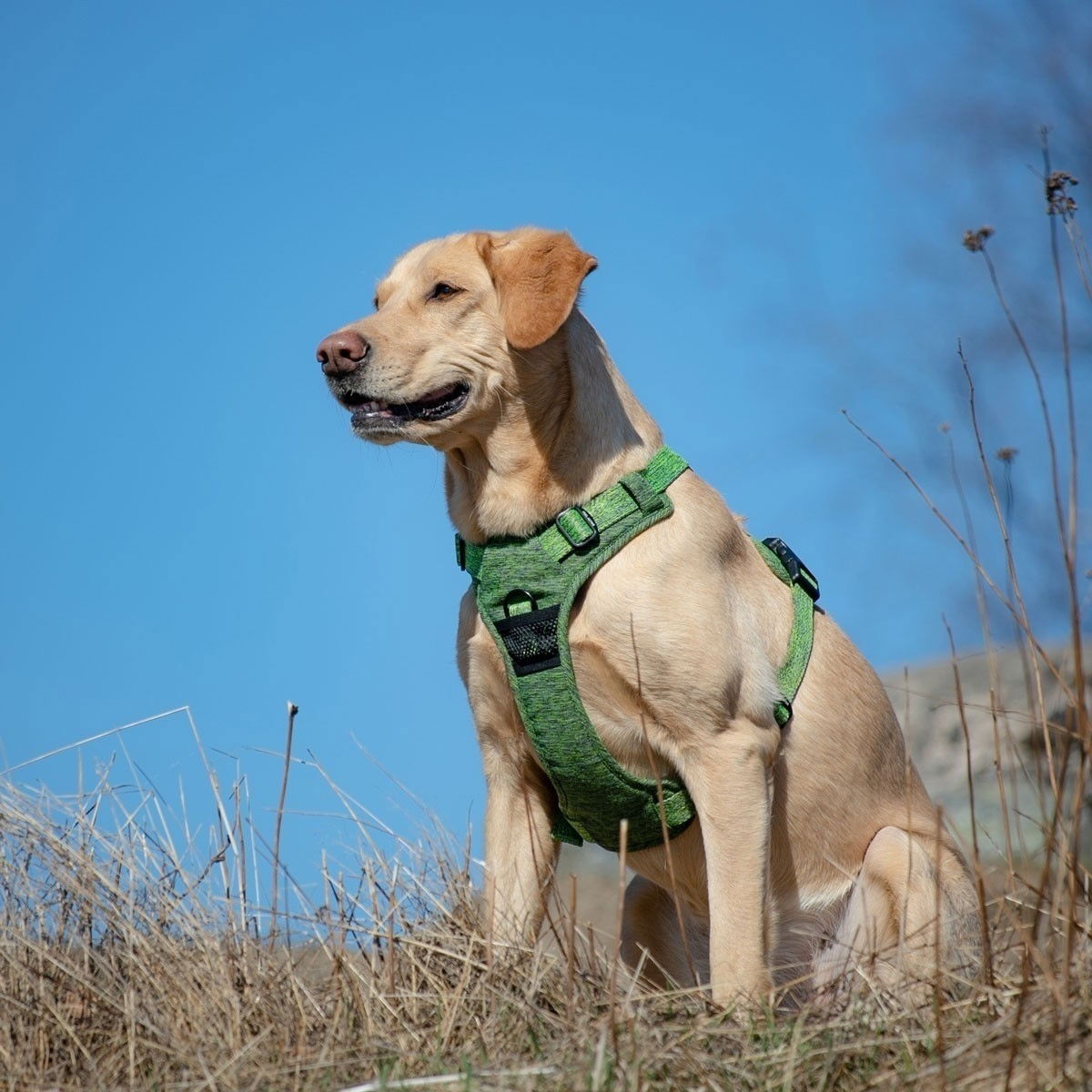 Feel Active Training harness Forest Green