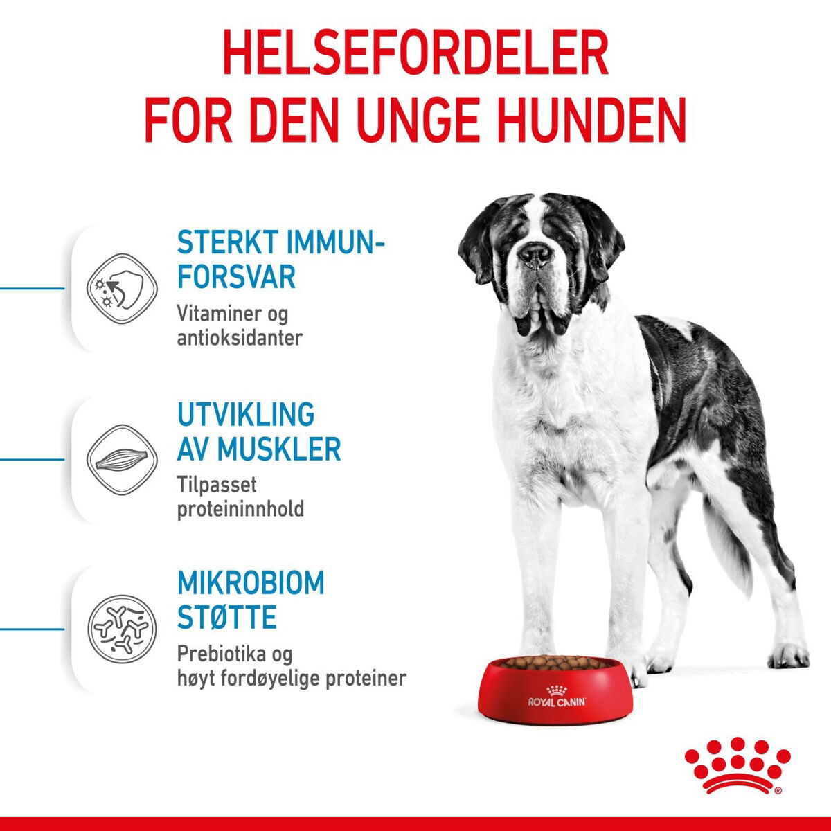 Royal Canin Giant Junior tørrfôr til valp