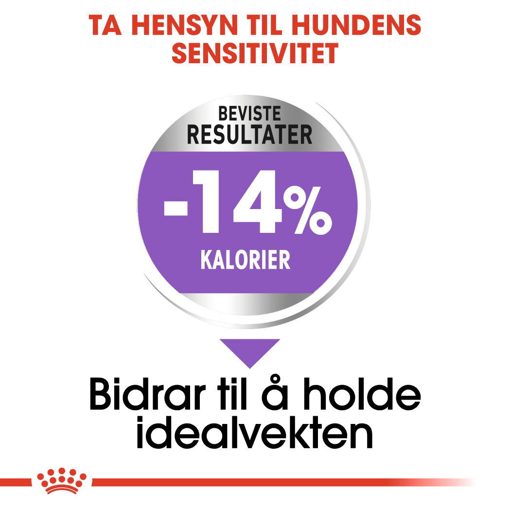 Royal Canin Mini Sterilised