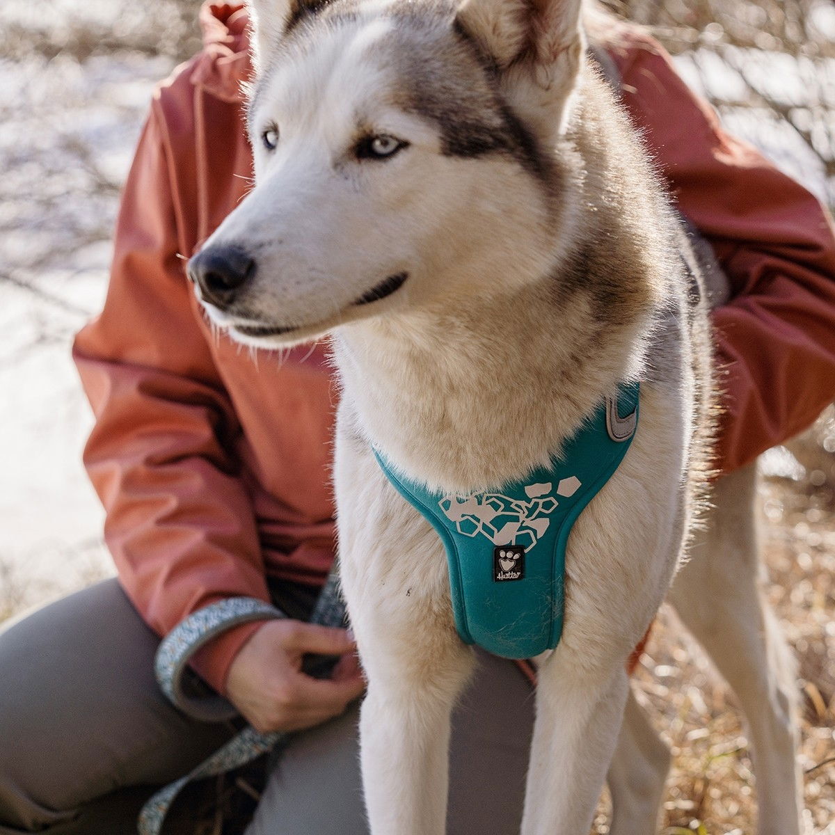 Hurtta Weekend Warrior harness, peacock