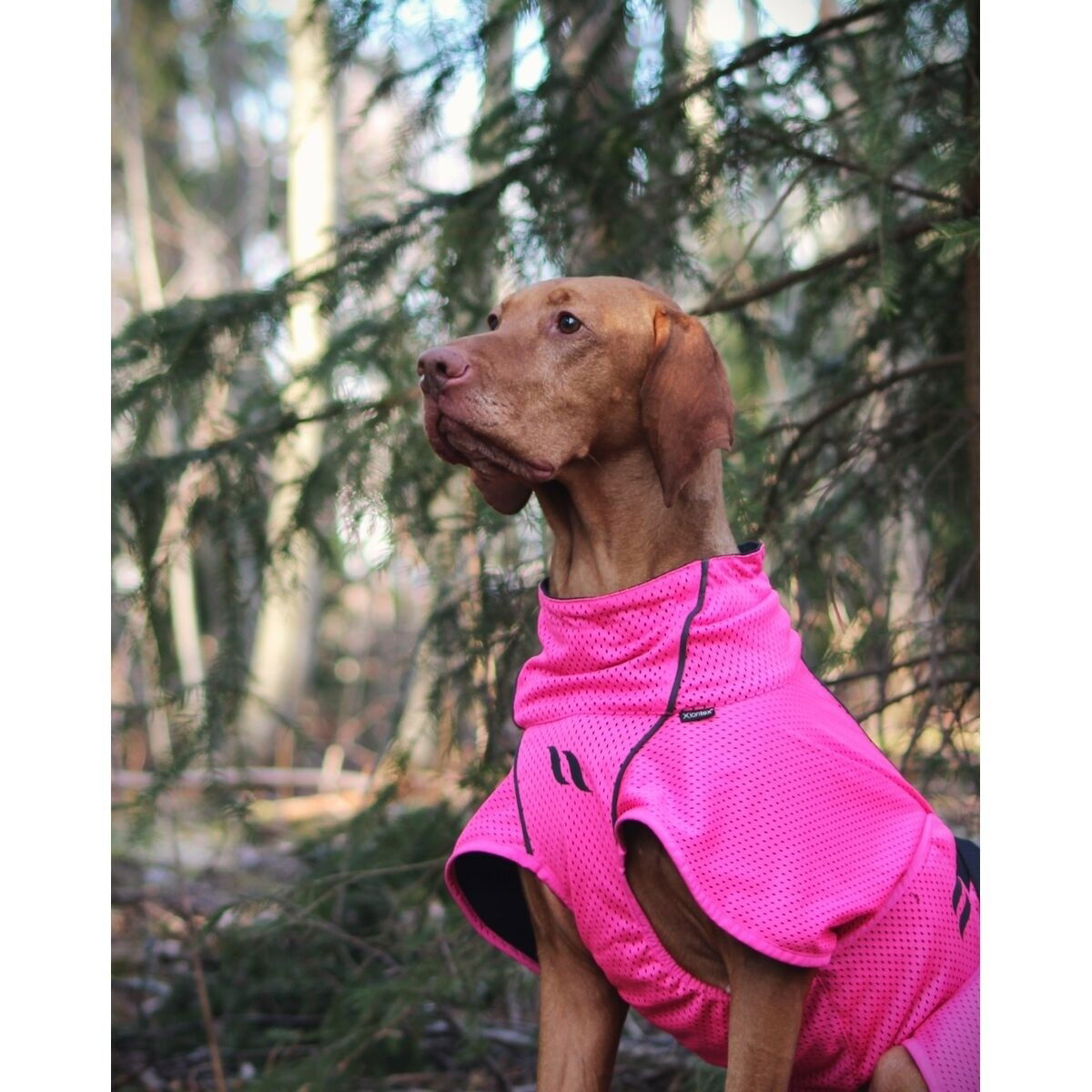 Back on Track Mesh jacket Limited Edition, Hot Pink