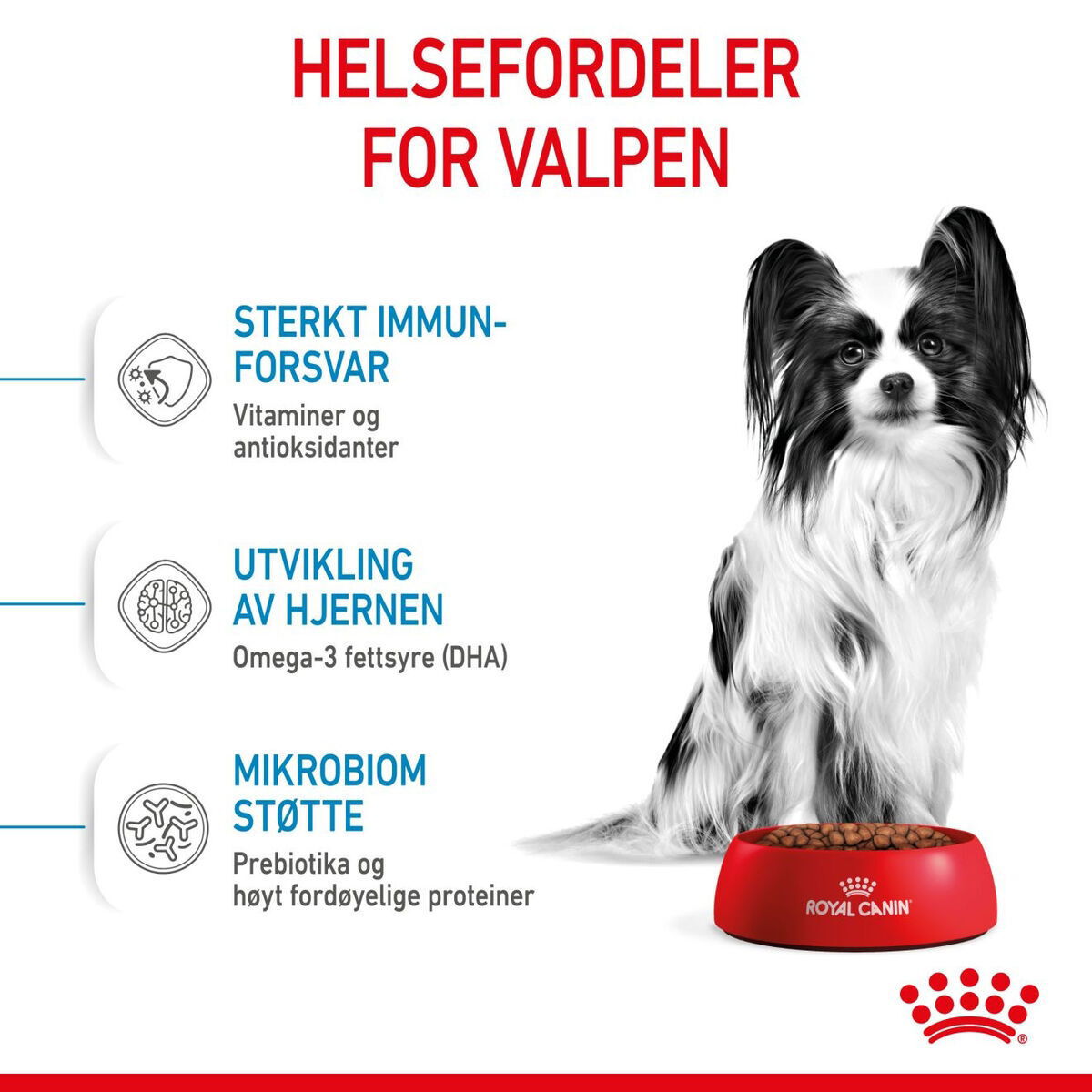Royal Canin X-small Puppy tørrfôr til valp