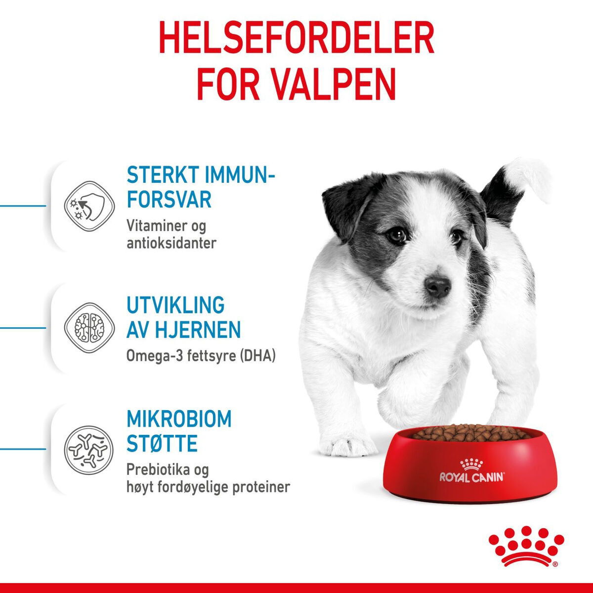 Royal Canin Mini Puppy tørrfôr til valp