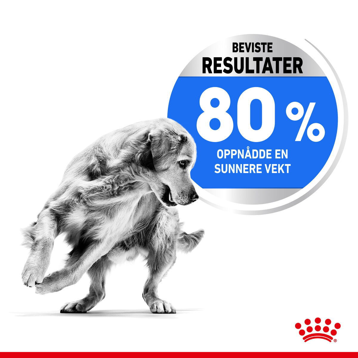 Royal Canin Light Weight Care Medium Adult tørrfôr til hund