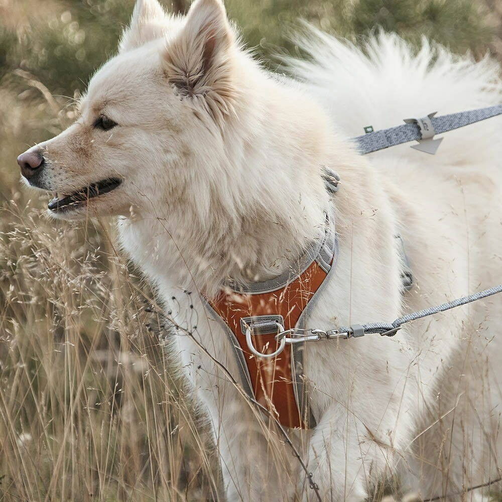 Hurtta Venture No-Pull harness coral