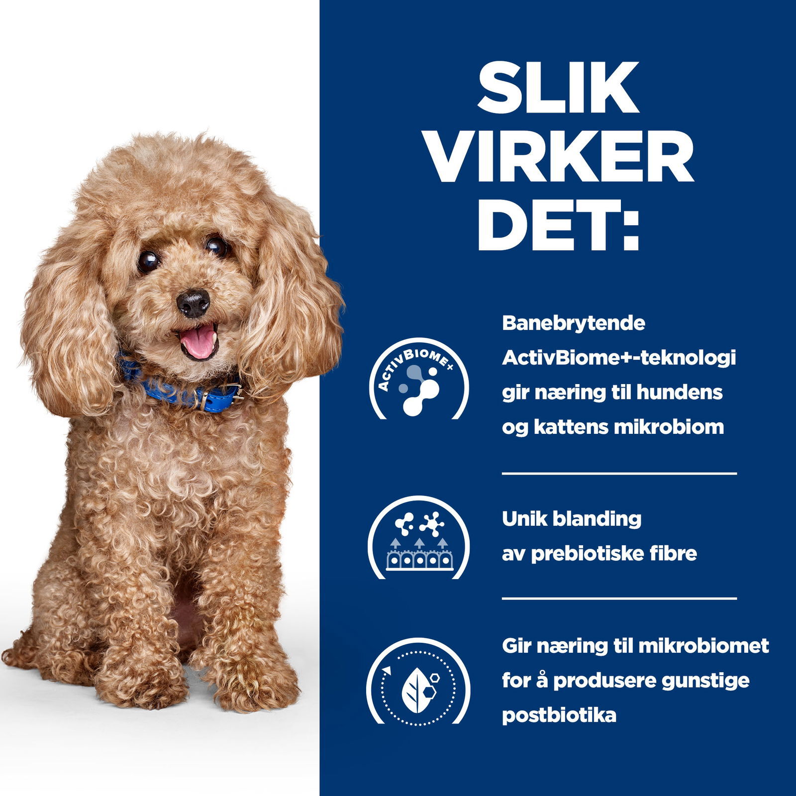 Hill's Prescription Diet Canine GI Biome Mini