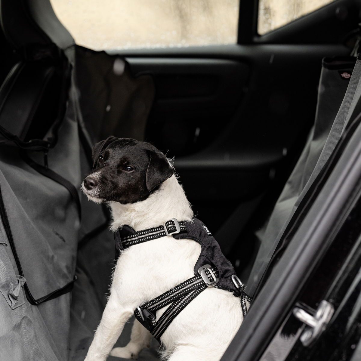 Feel Active bilsele svart