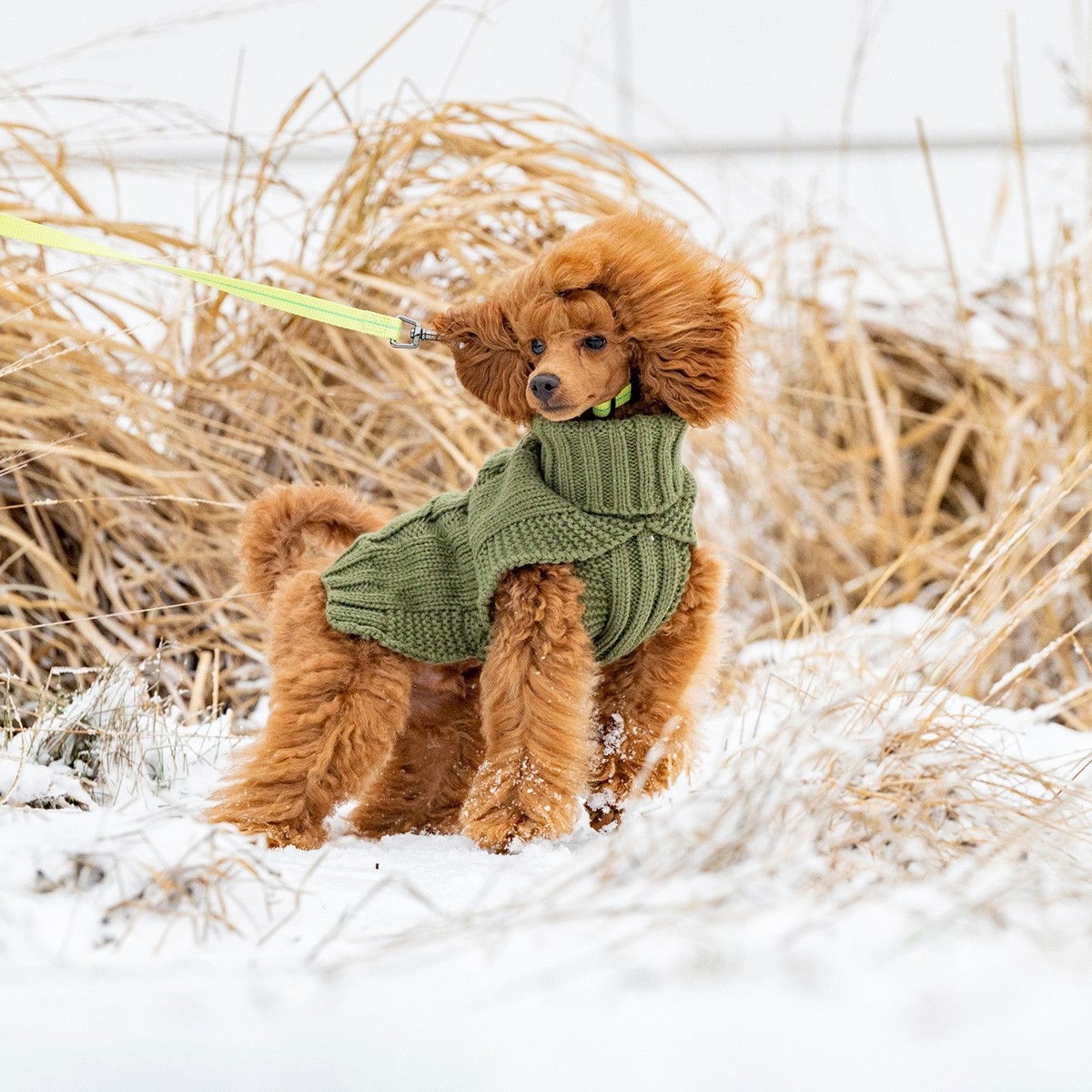 Rukka Wooly knitwear olive