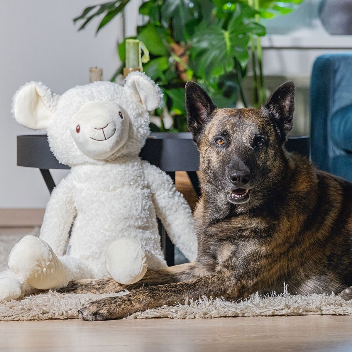 Beeztees Sheep Jessy XL