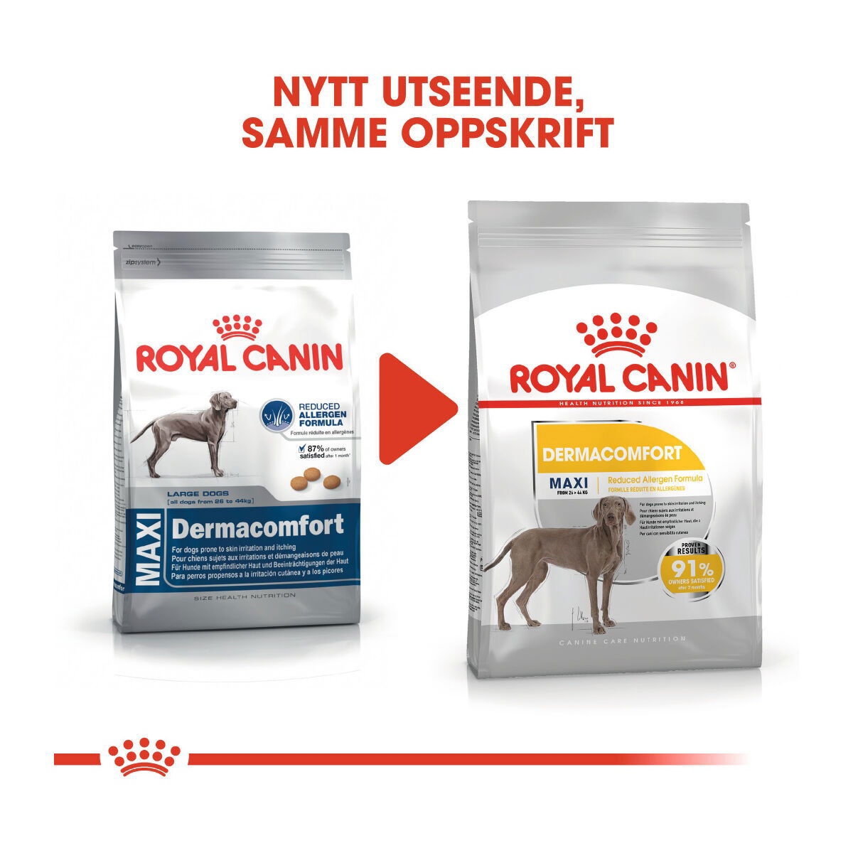 Royal Canin Maxi Dermacomfort