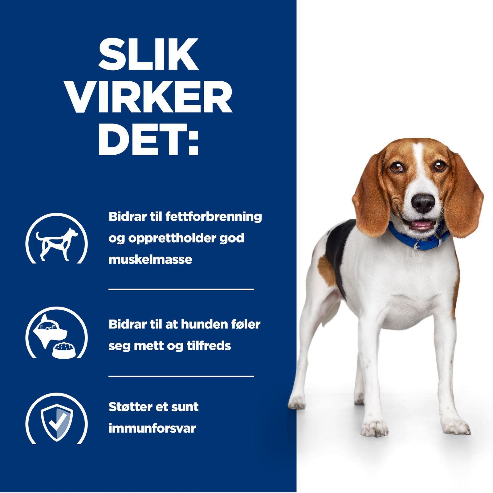 Hills Diet Dog r/d 12kg