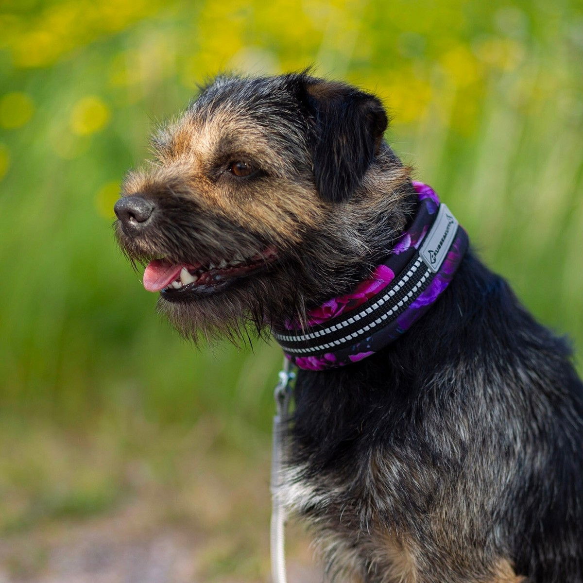 Kusse & Kutta half choke collar, lycra, flower cosmos