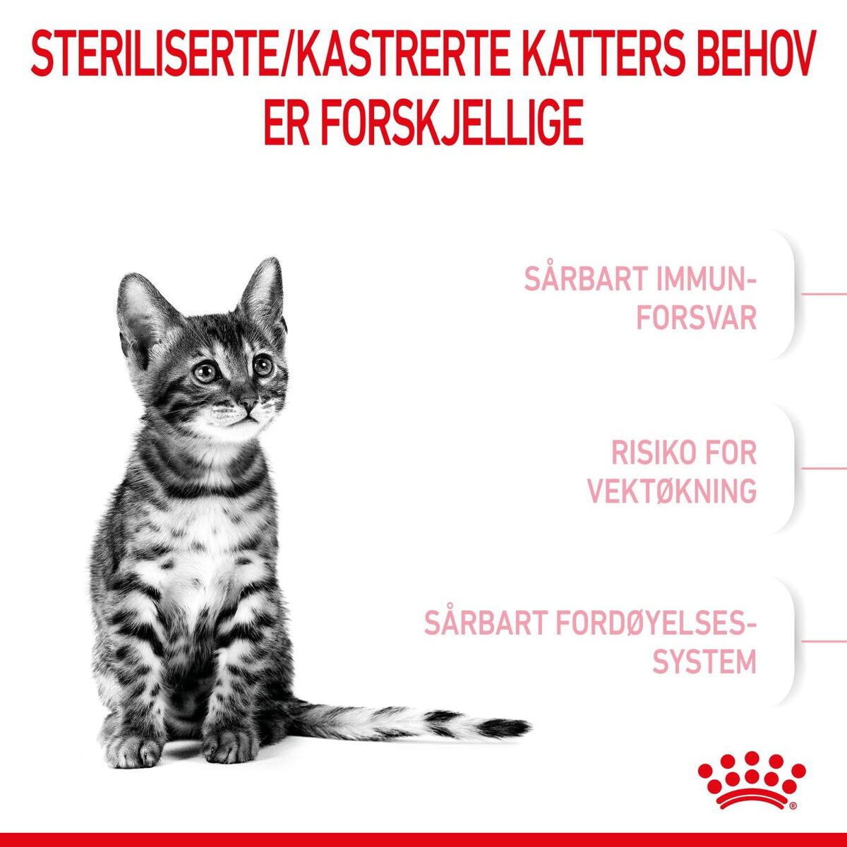 Royal Canin Kitten Sterilised tørrfôr til kattunge