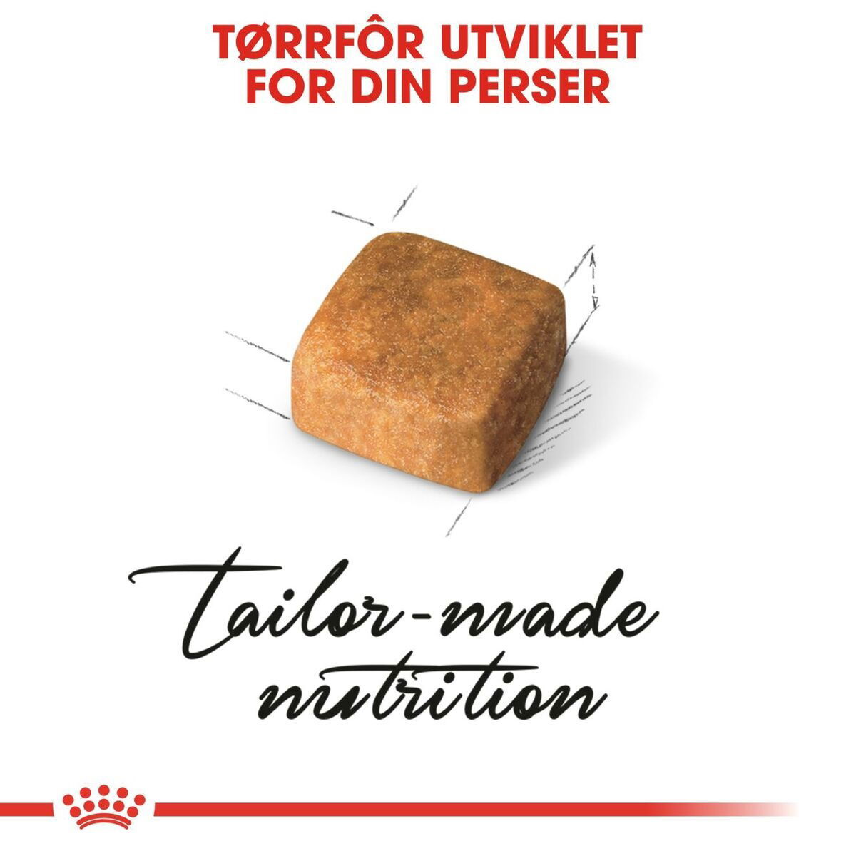 Royal Canin Persian Kitten tørrfôr til kattunge