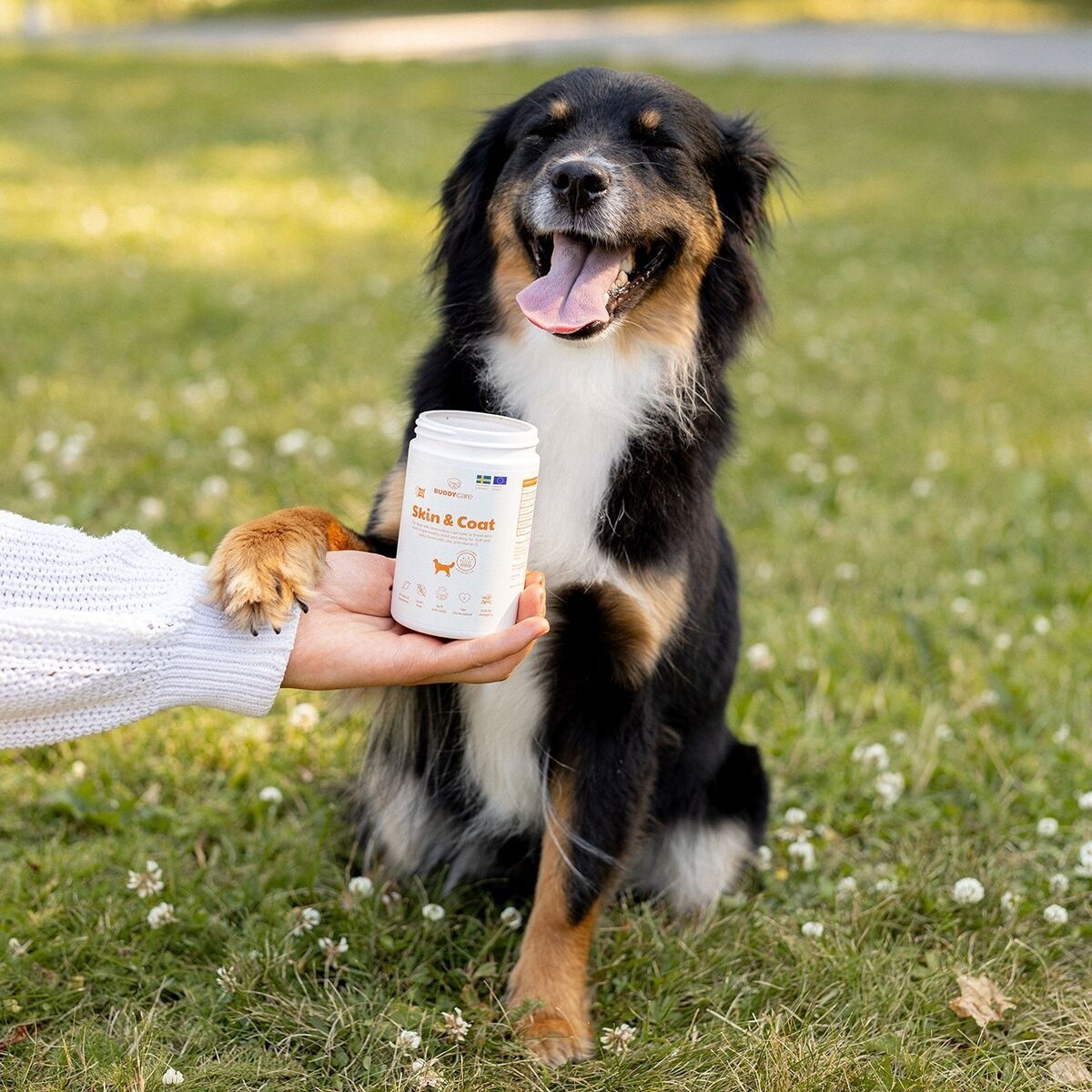 BuddyCare Skin & Coat 150g