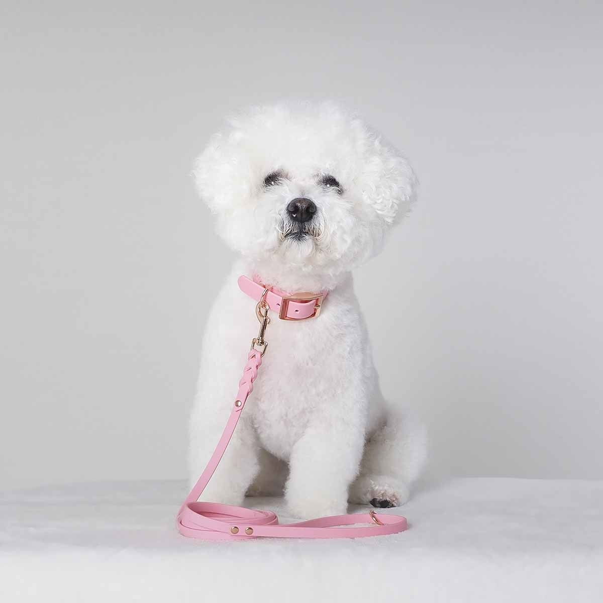 Tyylivoitto Braid leash, light pink