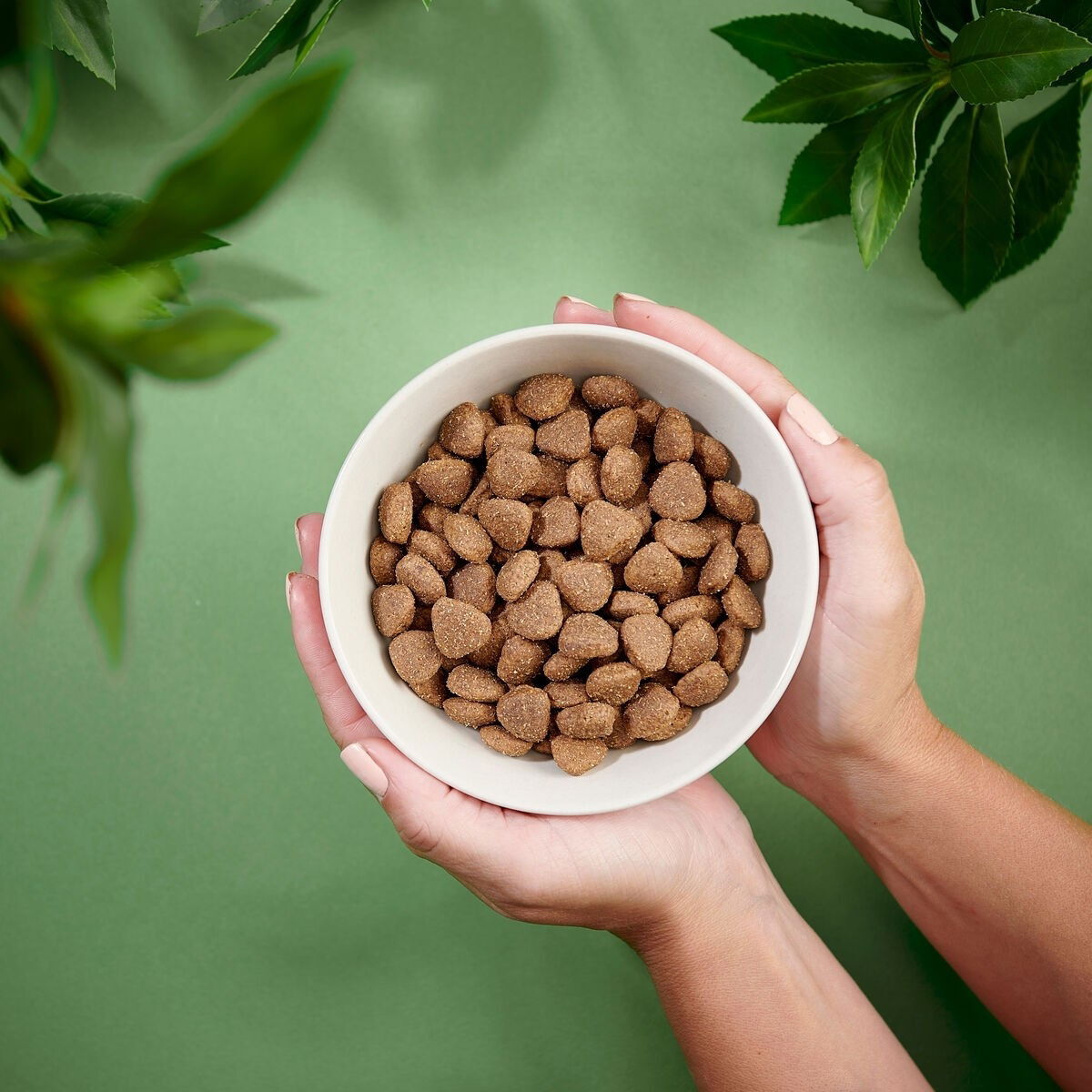 Purenatural Dog Adult Sensitive Duck