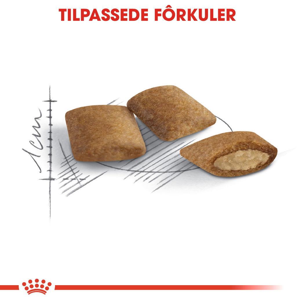Royal Canin Ageing 12+ tørrfôr til katt