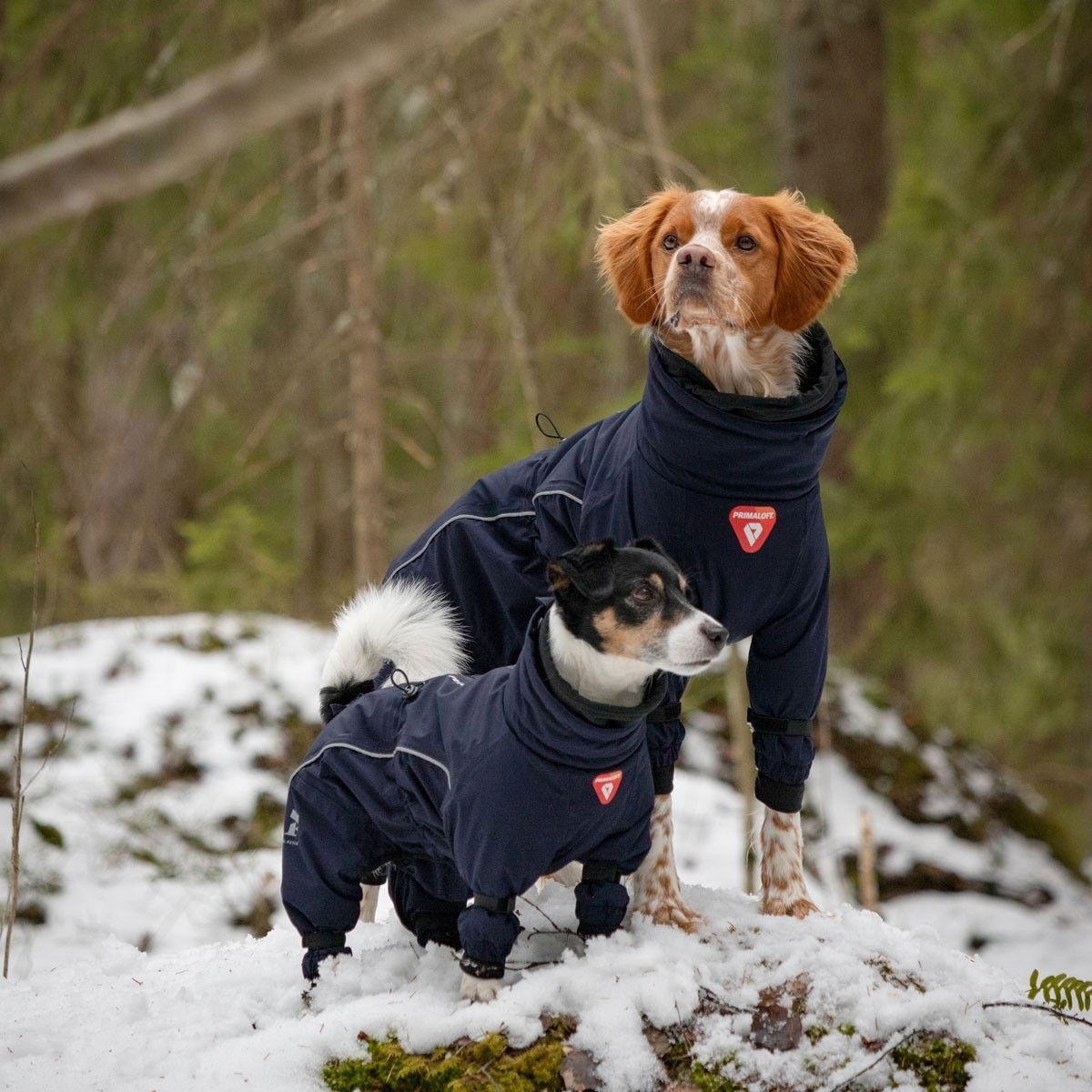 Feel Active Snow overall blue