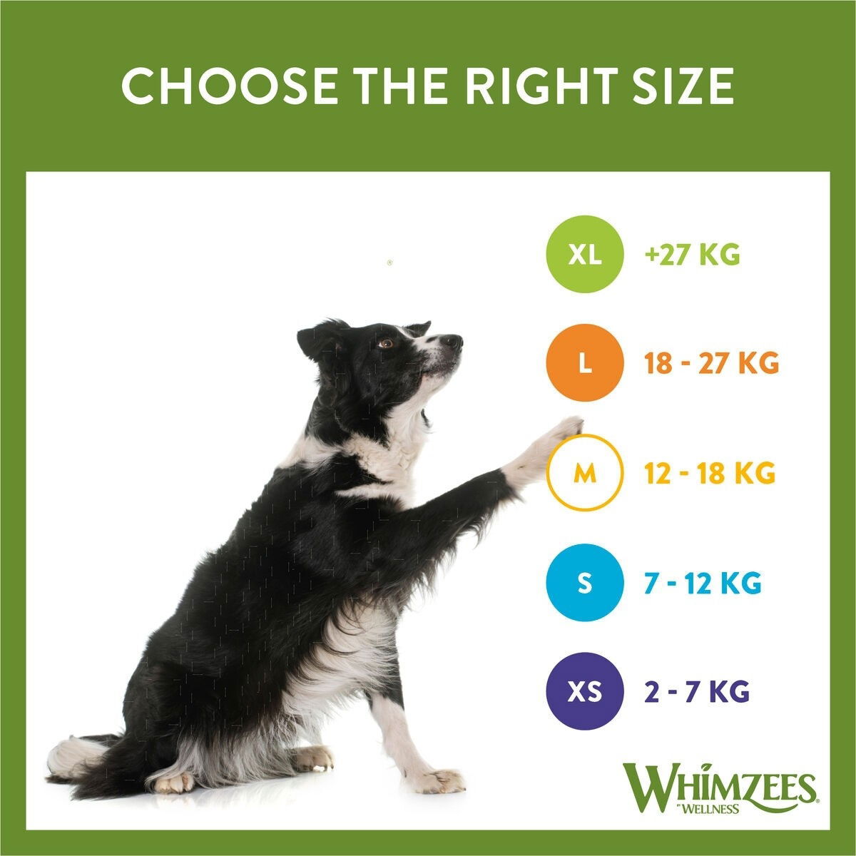 Whimzees krokodille L økonomiforpaktning 6 stk