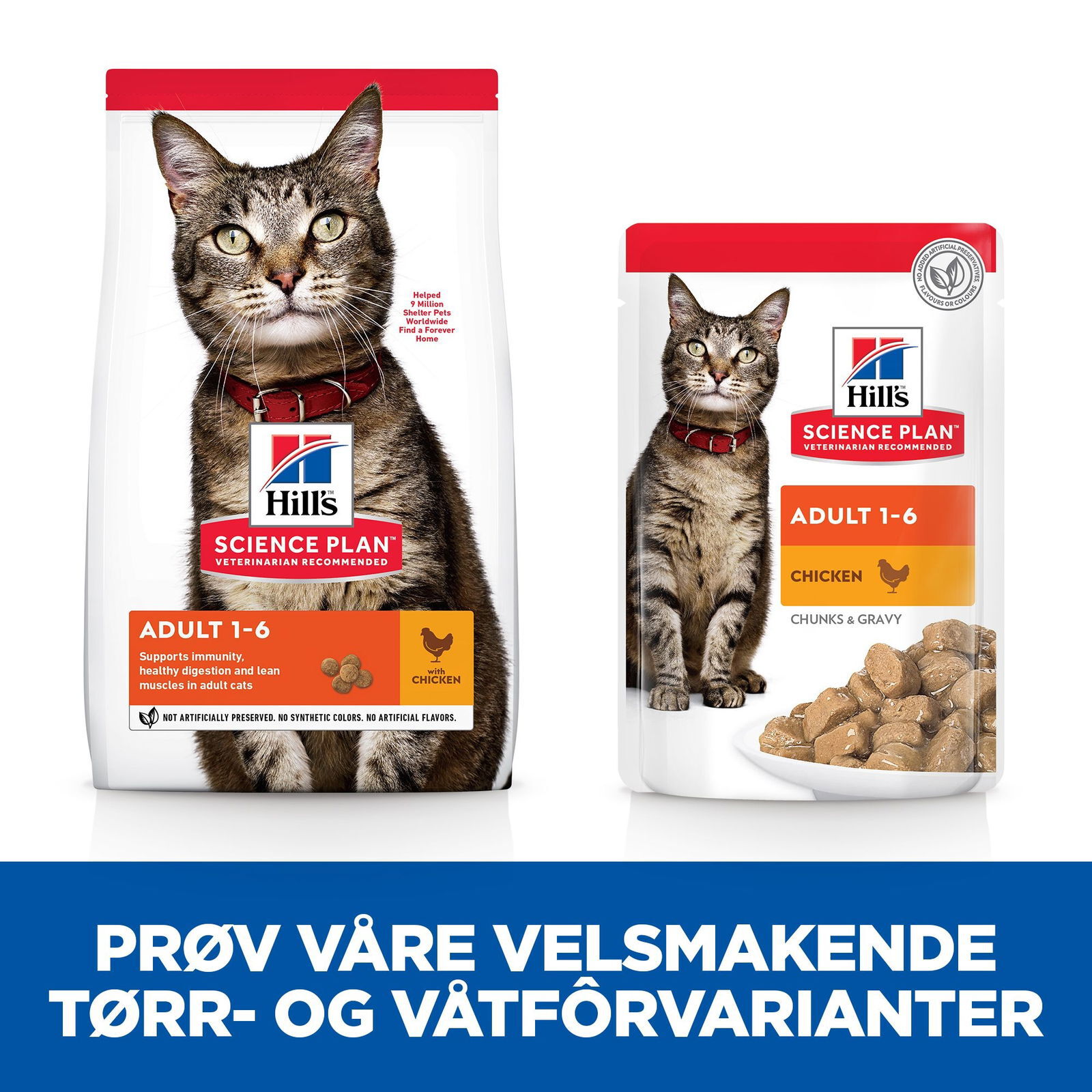 Hills Science Plan Feline Adult Chicken