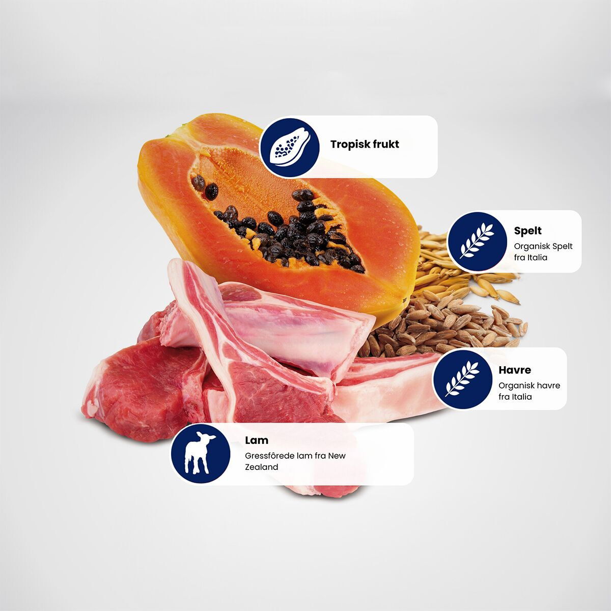 N&D Dog Tropical Lamb Puppy M/L 2kg