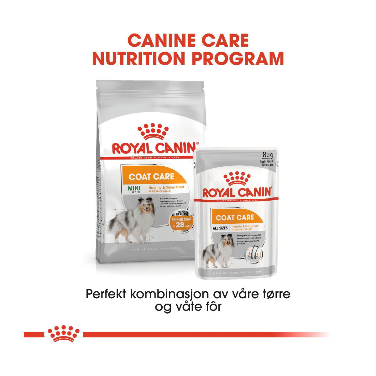 Royal Canin Coat Care Mini Adult tørrfôr til hund