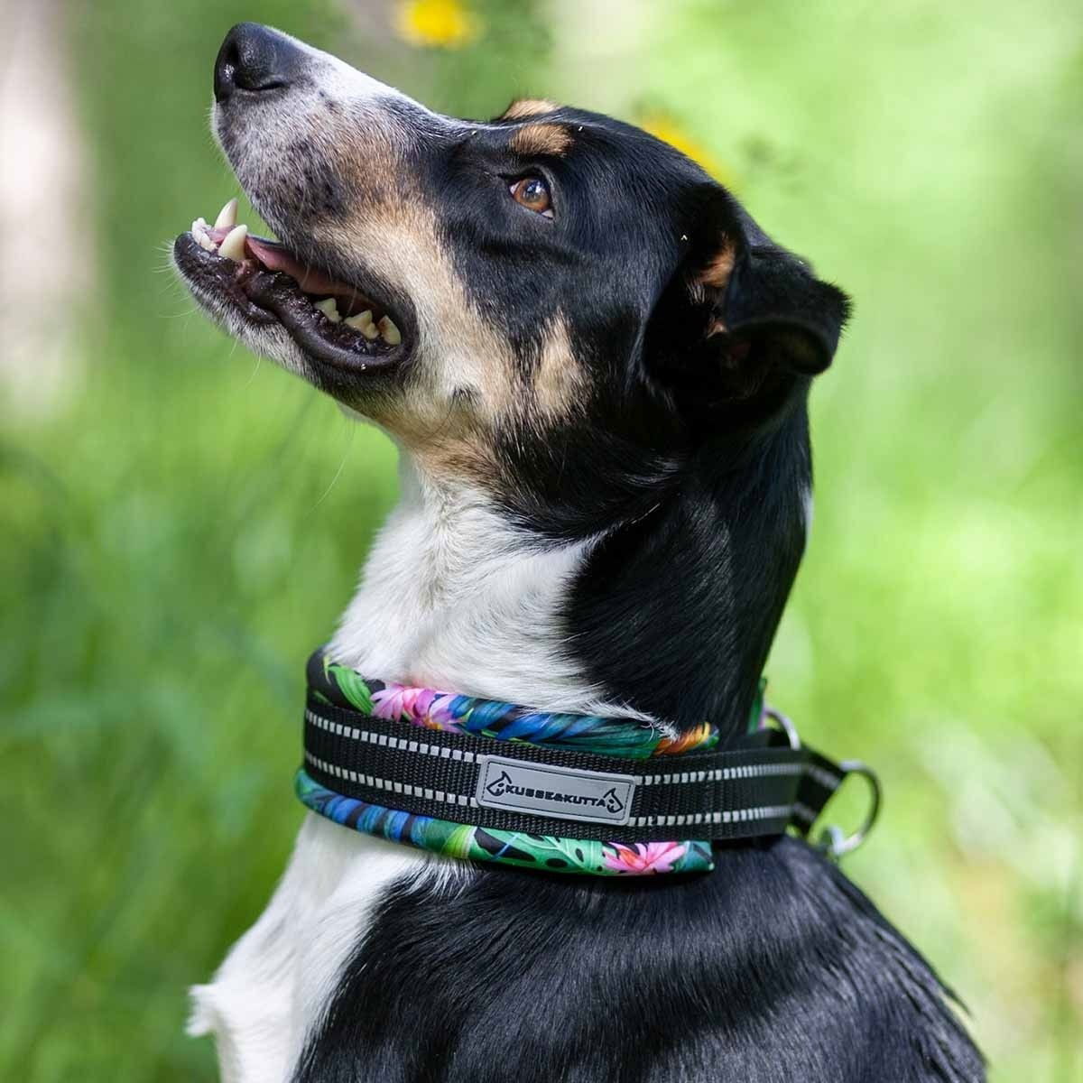 Kusse&Kutta half choke collar, extrawide, lycra, tropical
