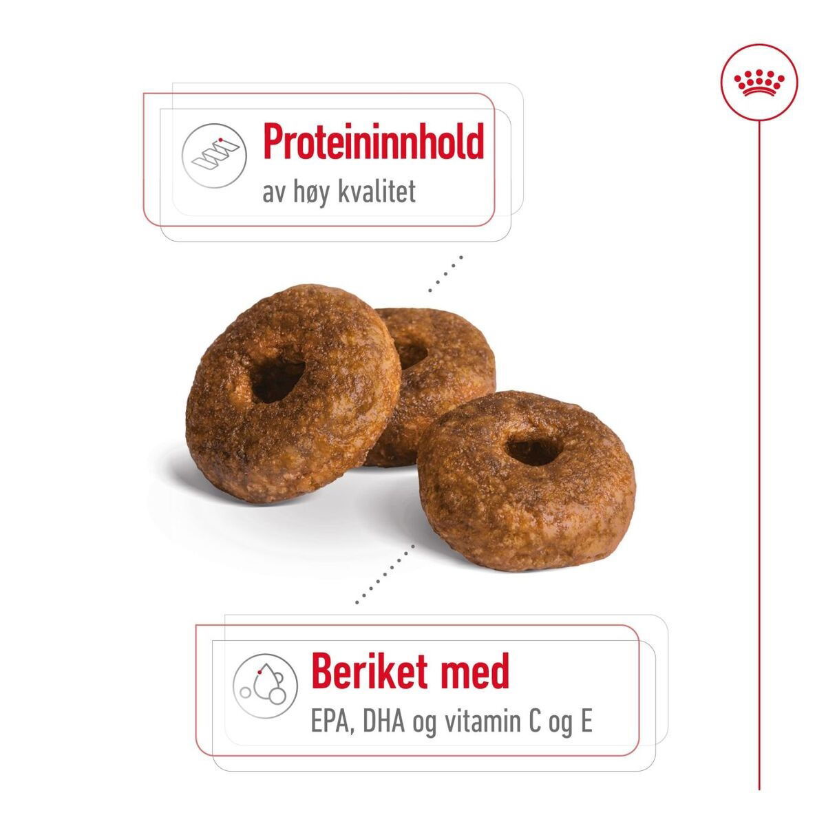 Royal Canin Medium Ageing 10+ tørrfôr til hund