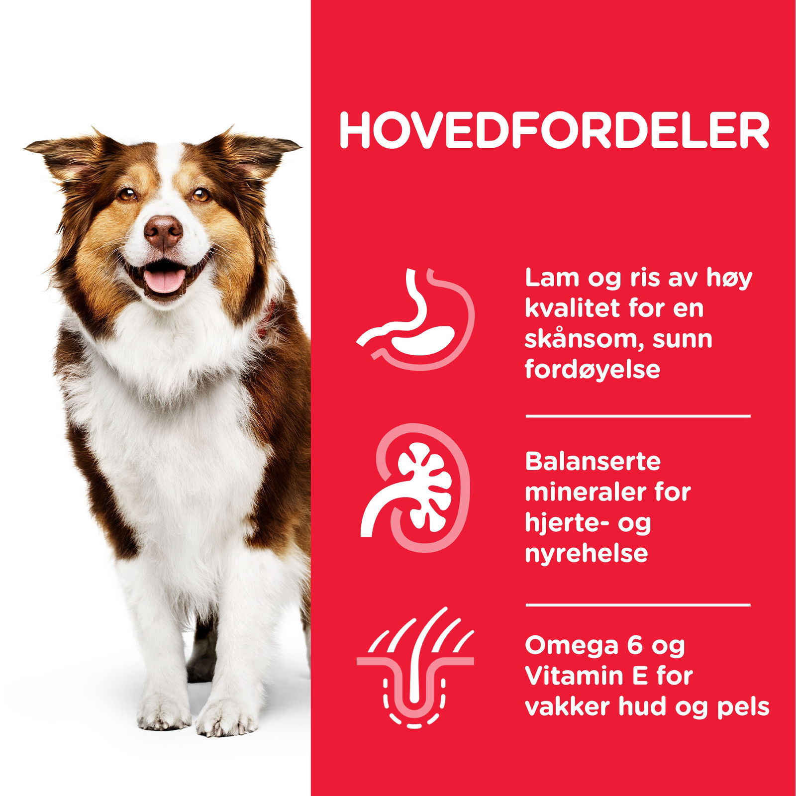 Hill's Science Plan Dog Mature 7+ Lamb & Rice